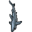 Shark.gif