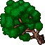 T1 tree.png