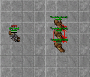 Dungeon evertorch showcase.gif